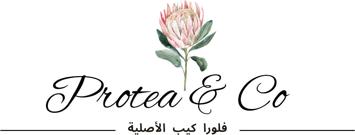 Protea